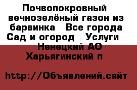 Почвопокровный, вечнозелёный газон из барвинка - Все города Сад и огород » Услуги   . Ненецкий АО,Харьягинский п.